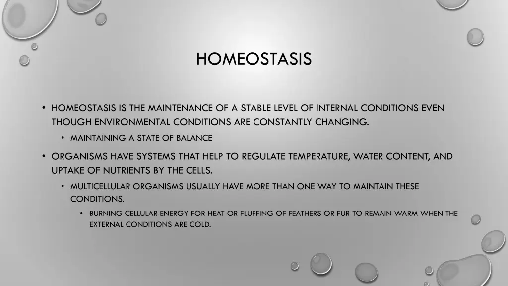 homeostasis