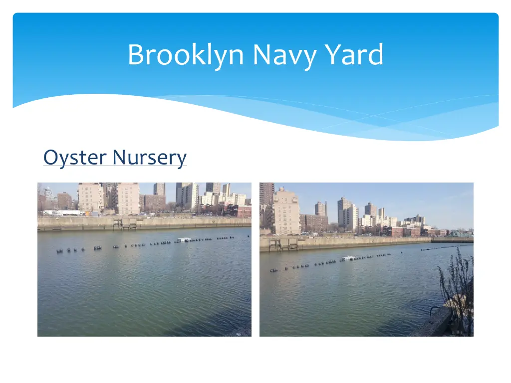 brooklyn navy yard