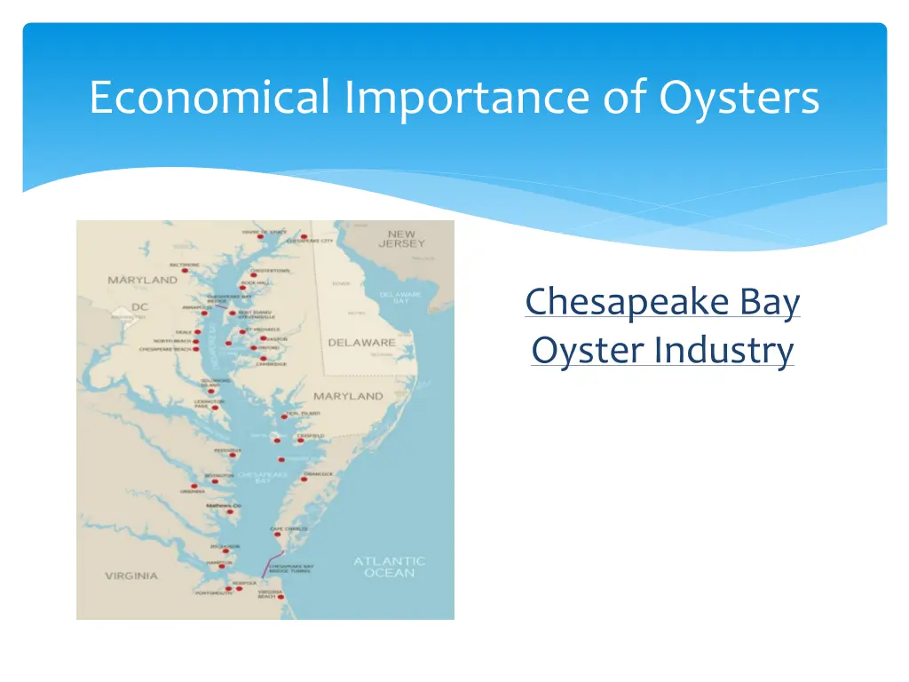 economical importance of oysters 1