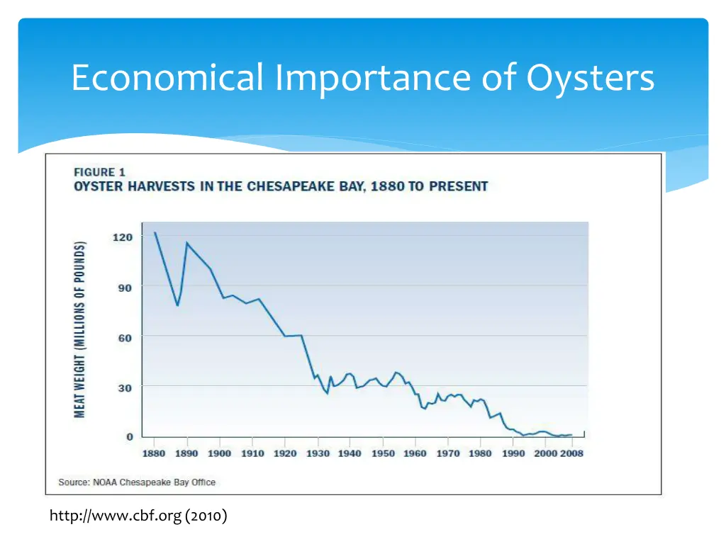 economical importance of oysters 2