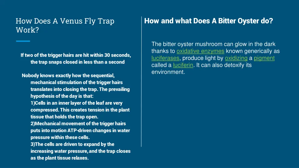 how and what does a bitter oyster do