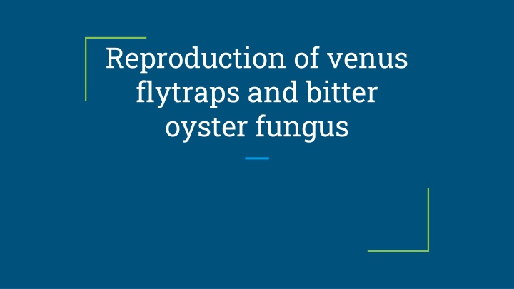 reproduction of venus flytraps and bitter oyster