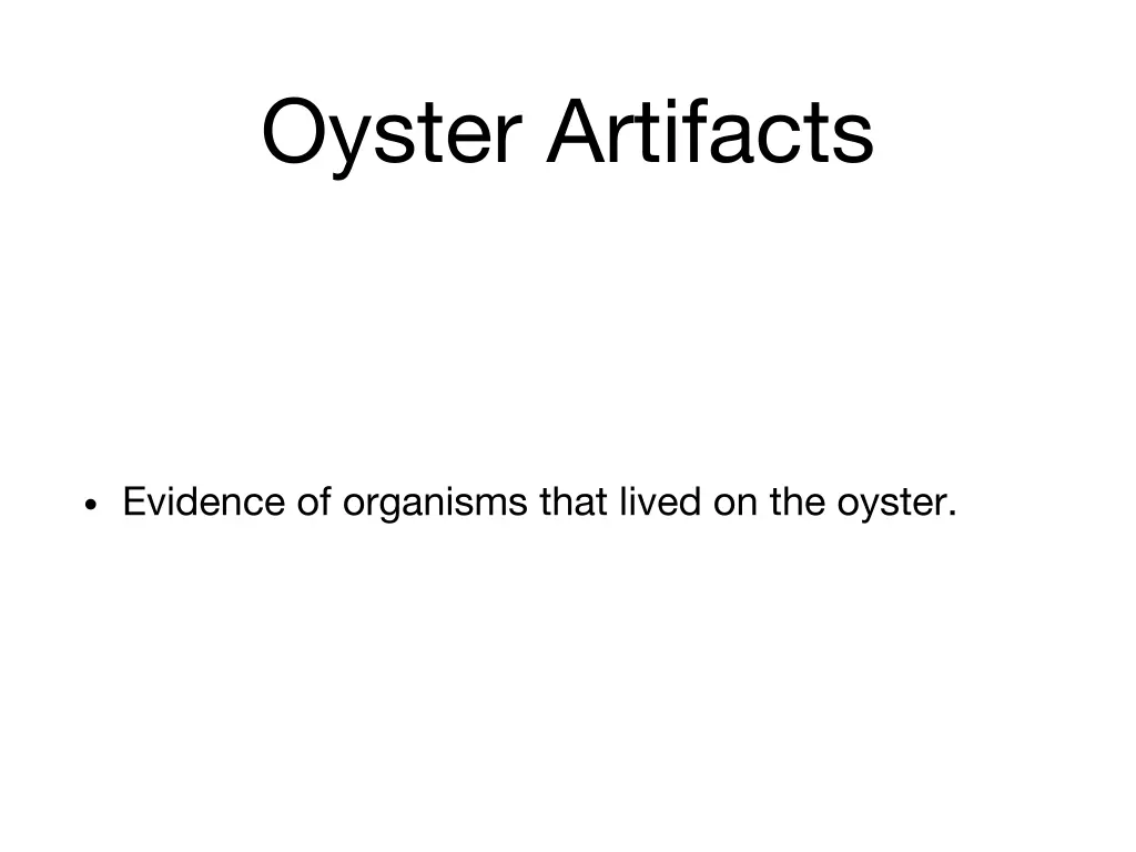 oyster artifacts