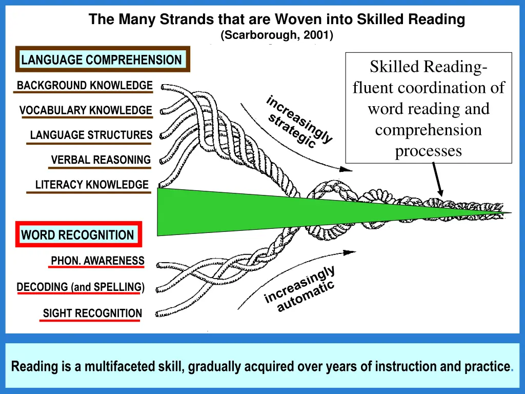 the many strands that are woven into skilled