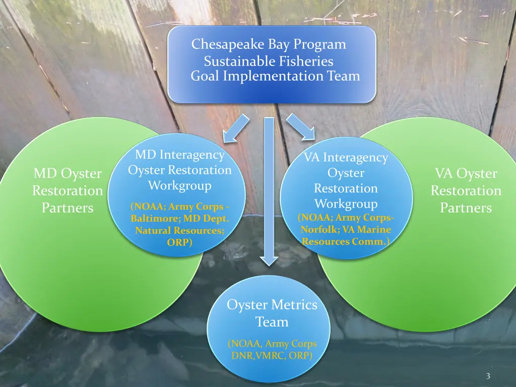 chesapeake bay program sustainable fisheries