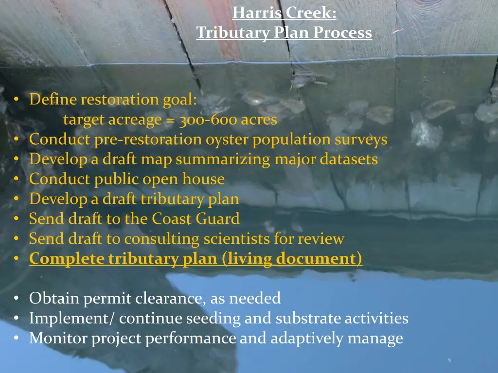 harris creek tributary plan process