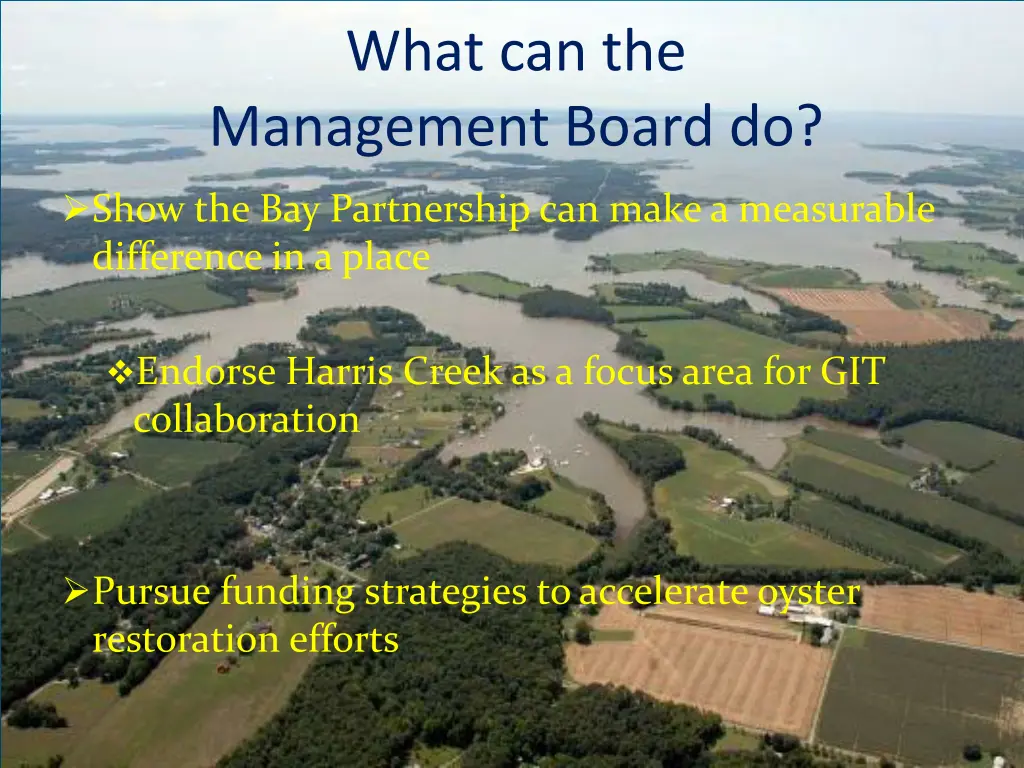 what can the management board do