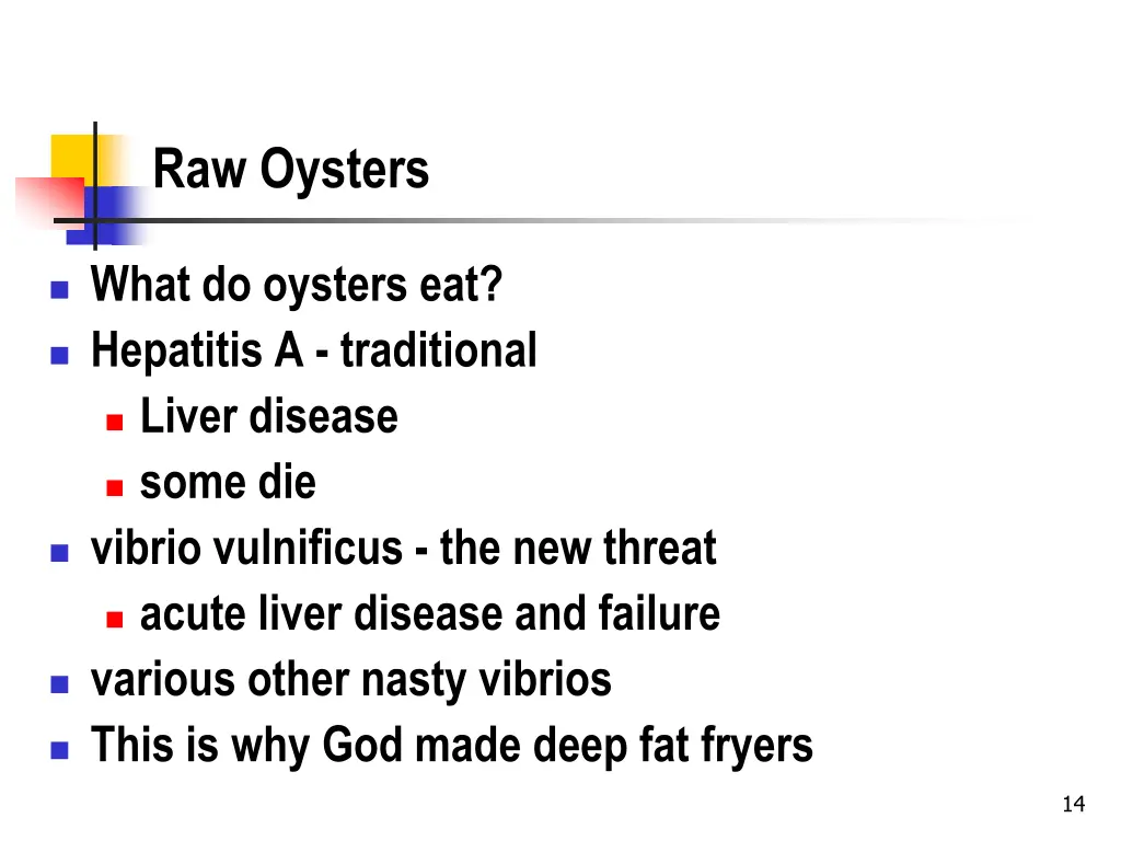 raw oysters