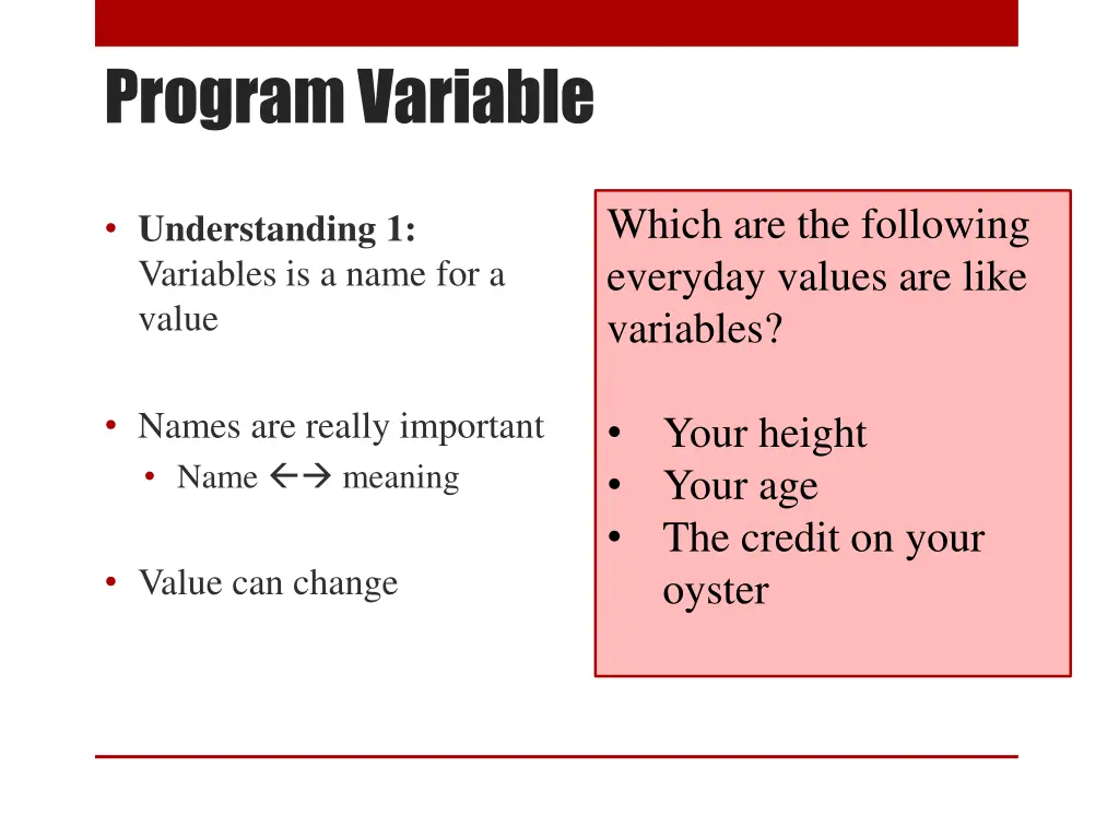 program variable