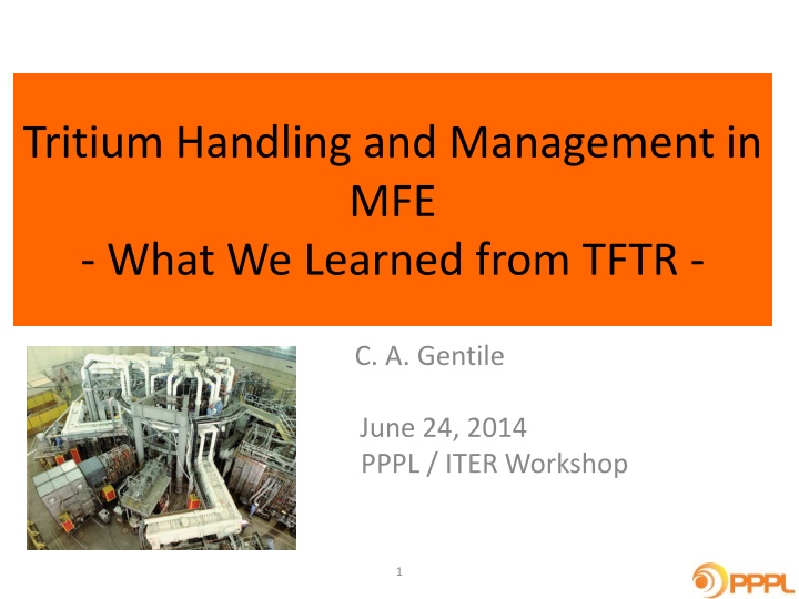 tritium handling and management in mfe what