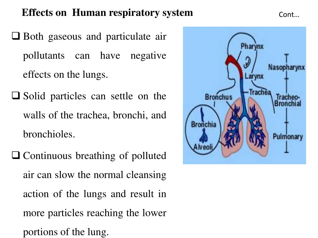 effects on human respiratory system