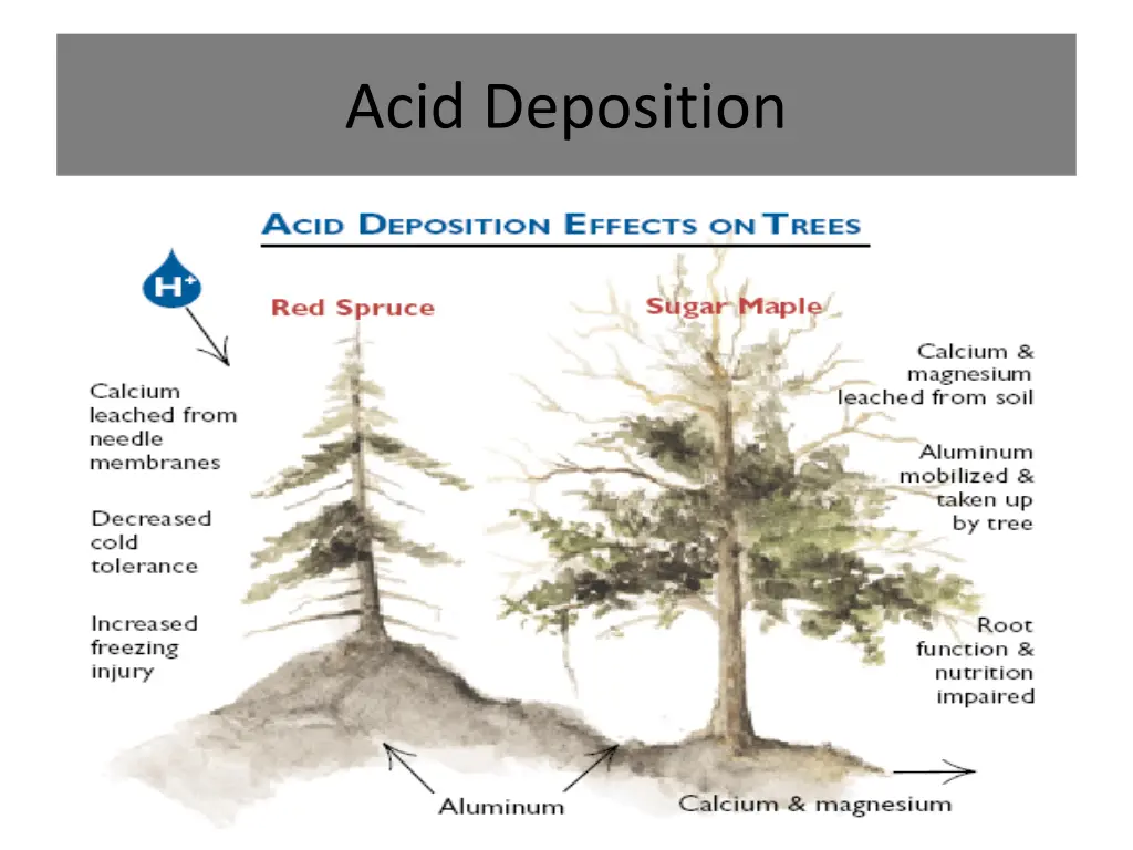 acid deposition 2