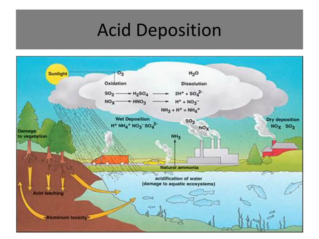 acid deposition