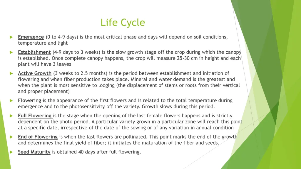 life cycle