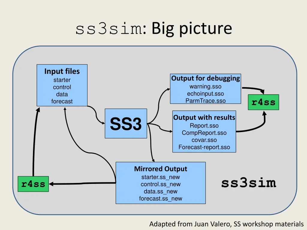 ss3sim big picture 1