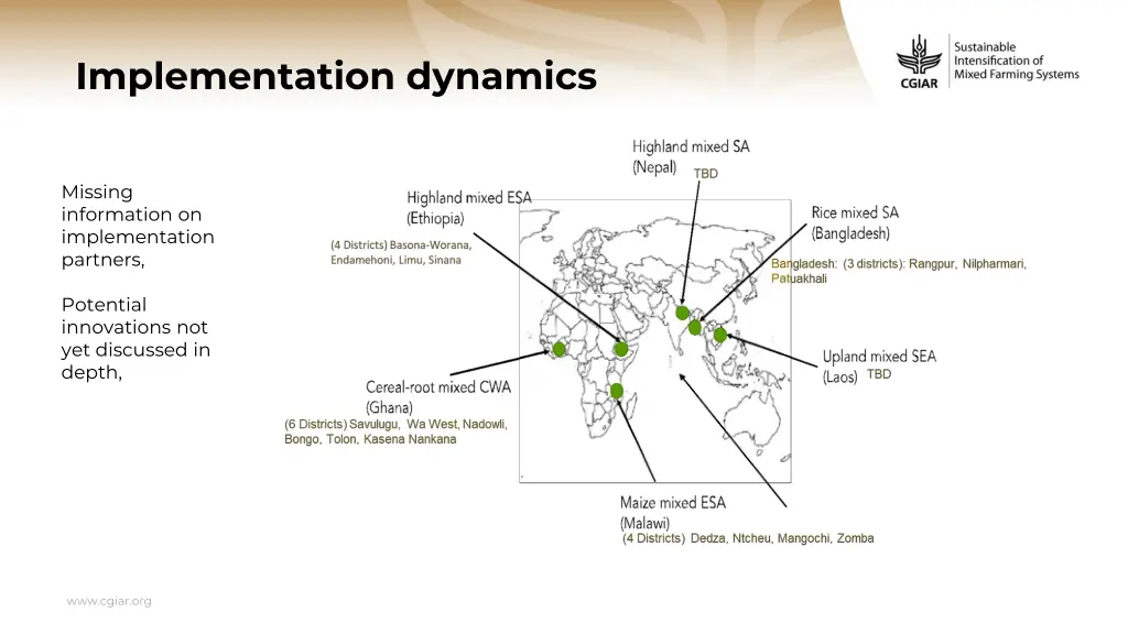 implementation dynamics