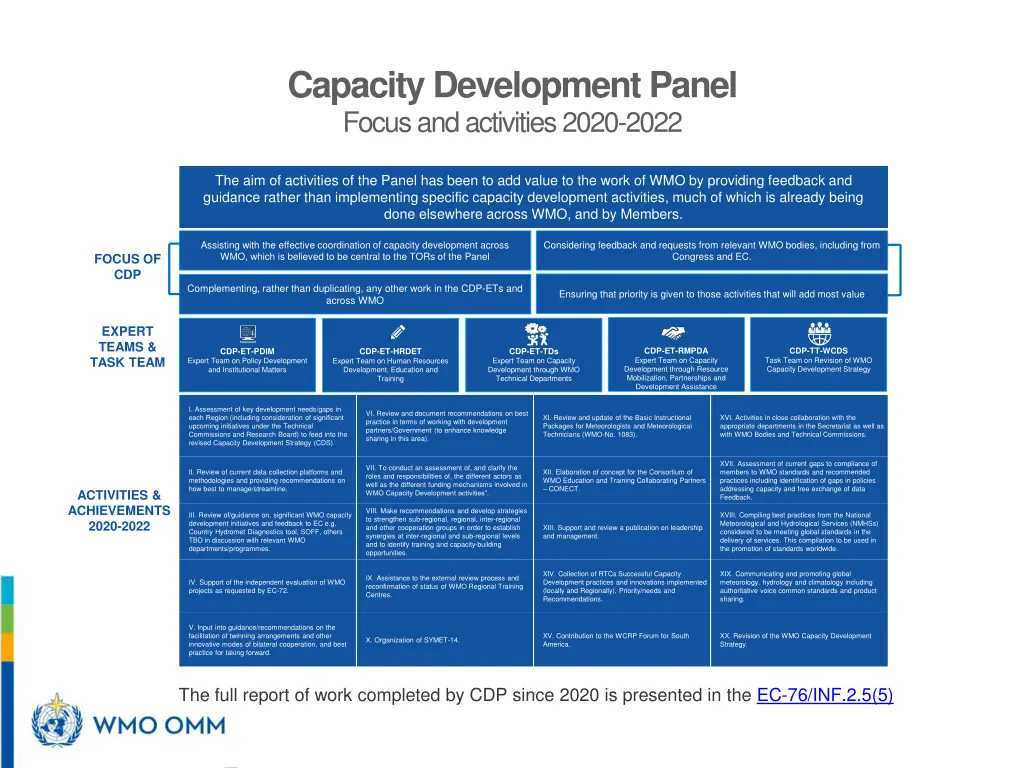 capacity development panel focus and activities