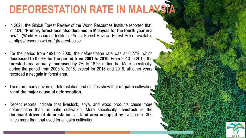 deforestation rate in malaysia