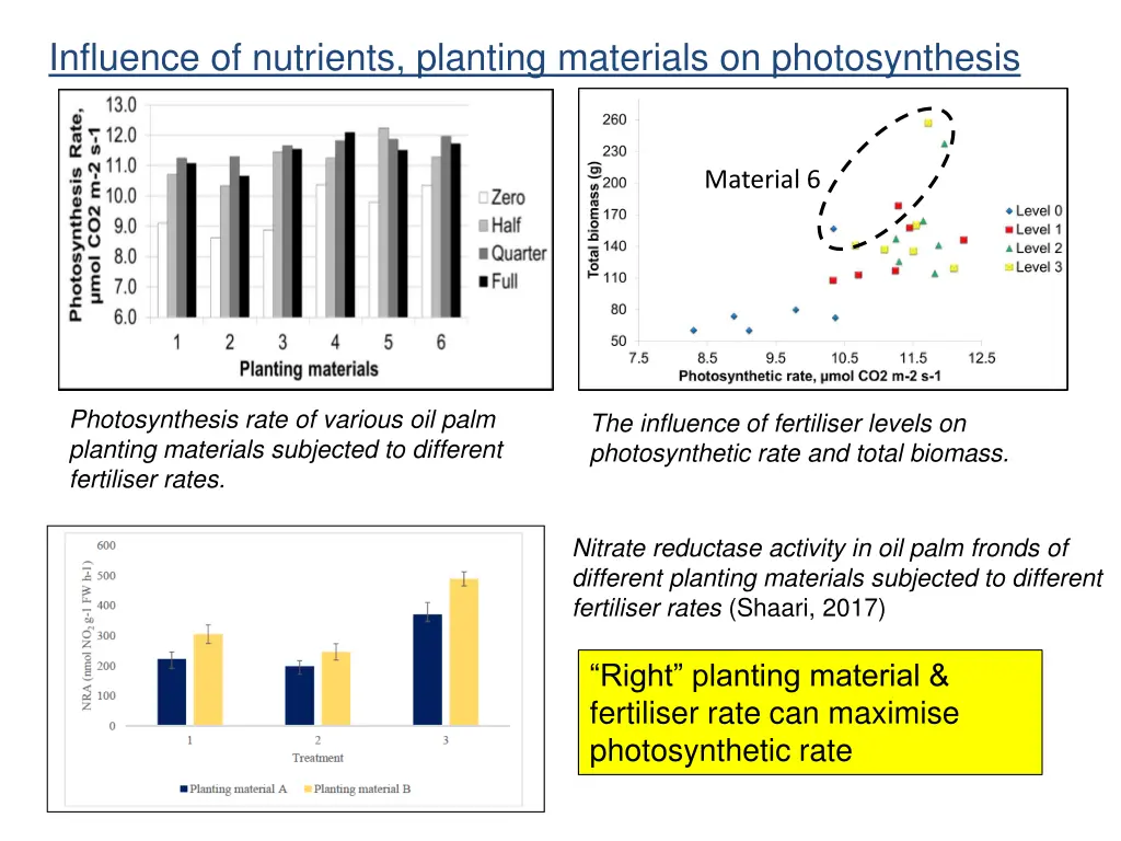 influence of nutrients planting materials