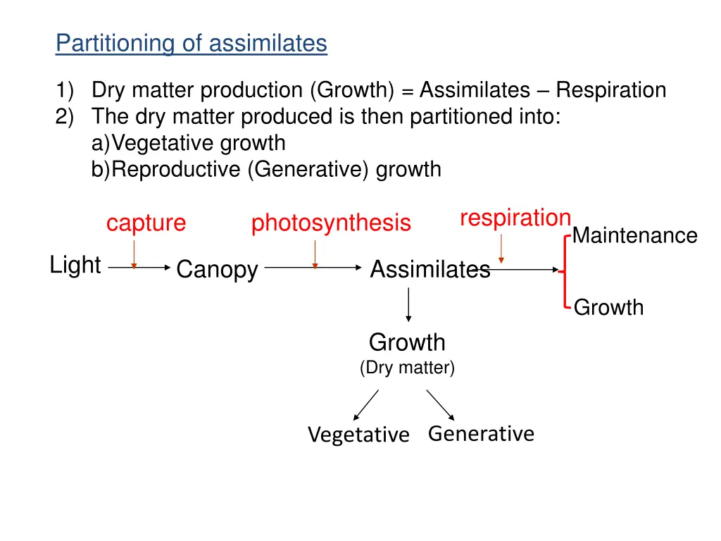 partitioning of assimilates