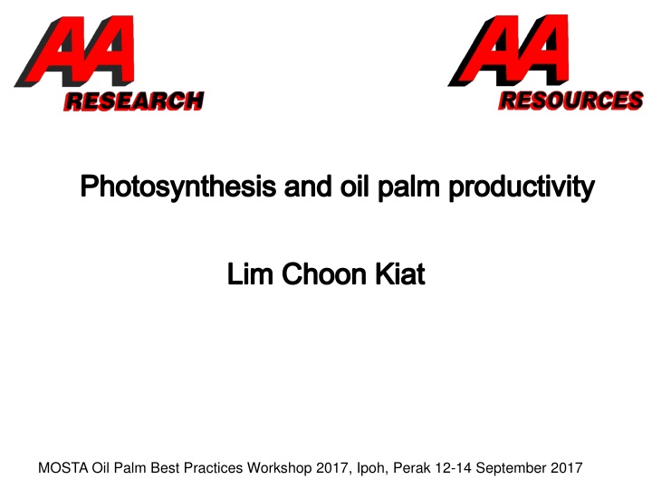 photosynthesis and oil palm productivity