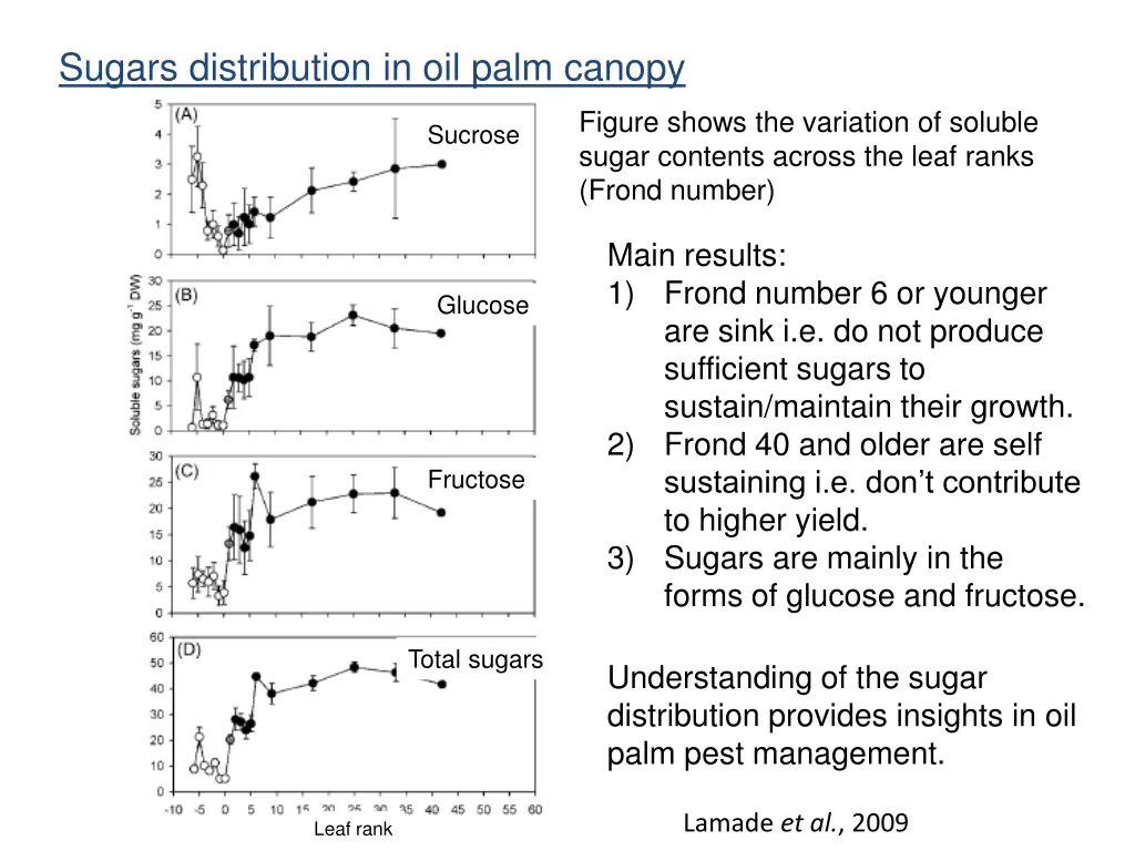 sugars distribution in oil palm canopy