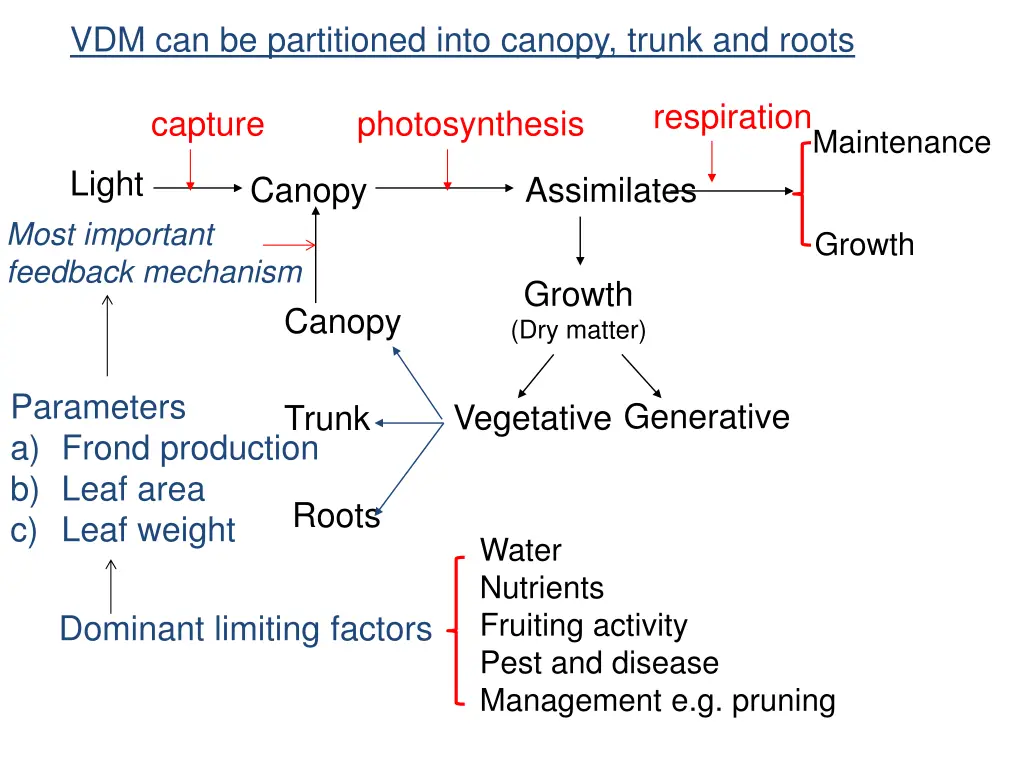 vdm can be partitioned into canopy trunk and roots