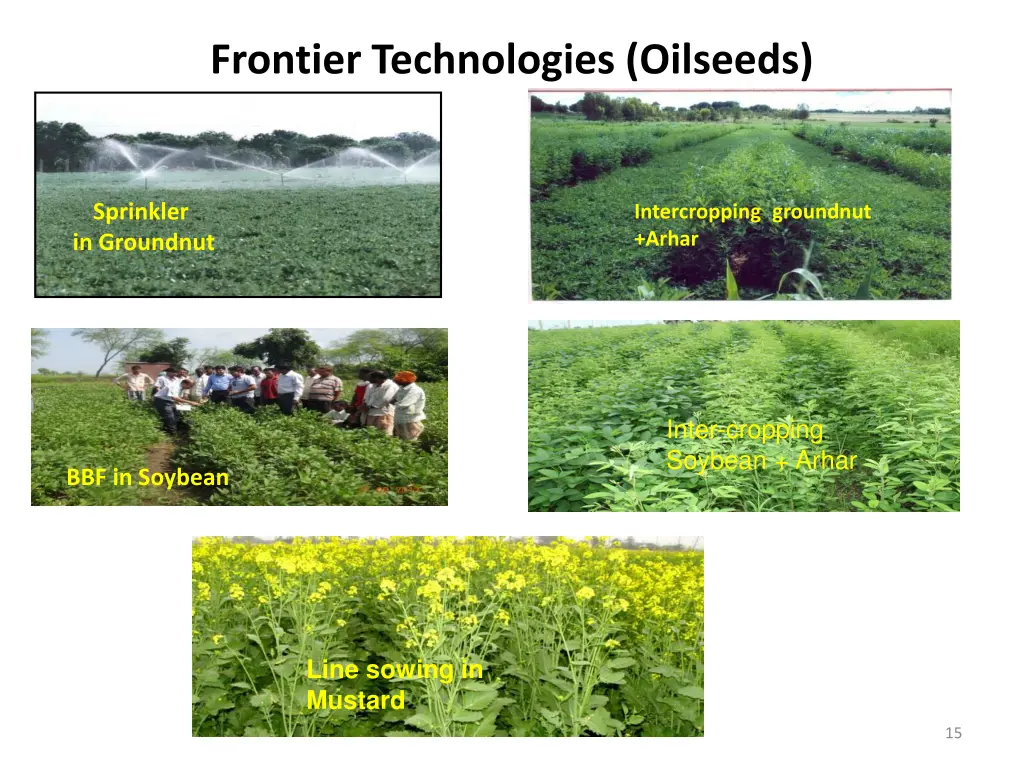 frontier technologies oilseeds