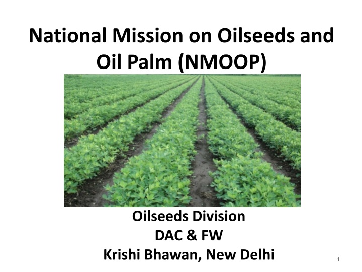 national mission on oilseeds and oil palm nmoop