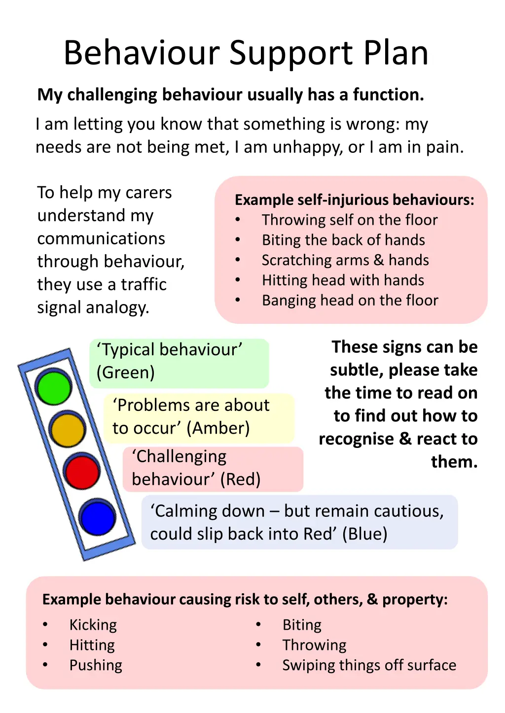 behaviour support plan