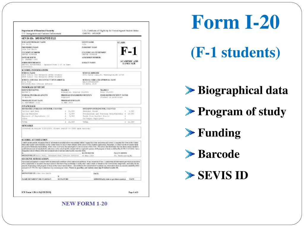 form i 20