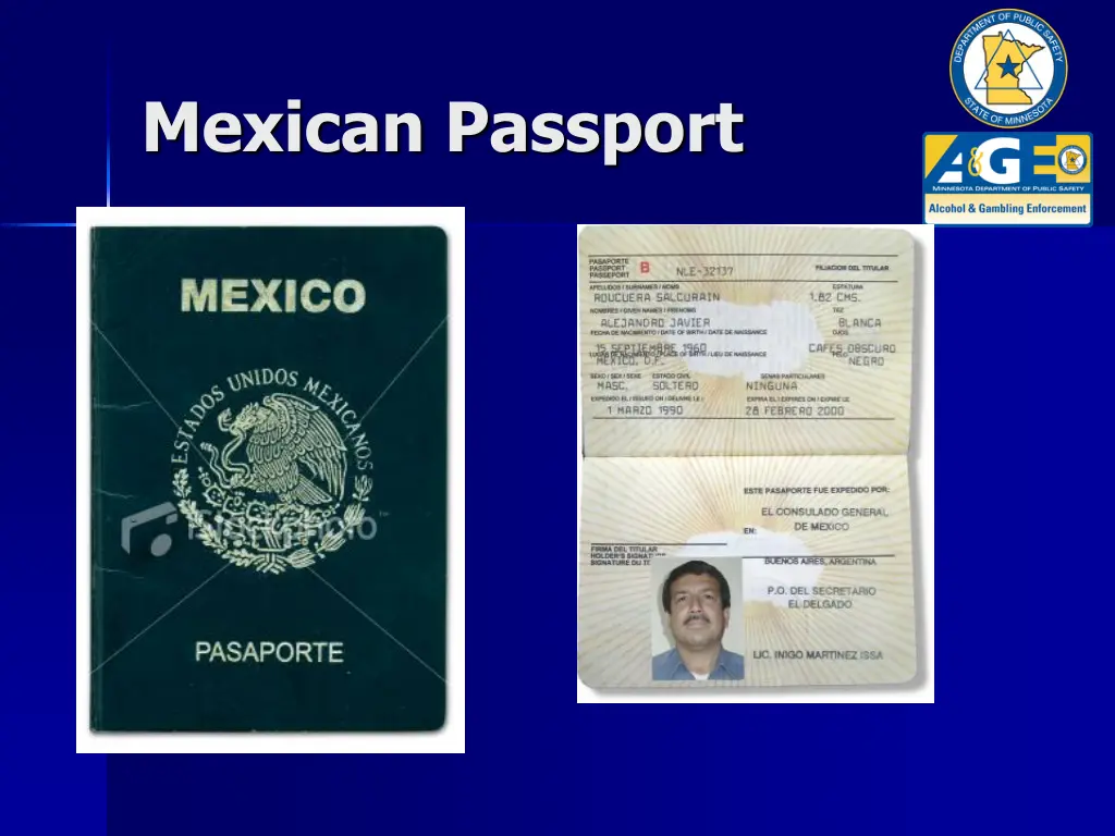 mexican passport