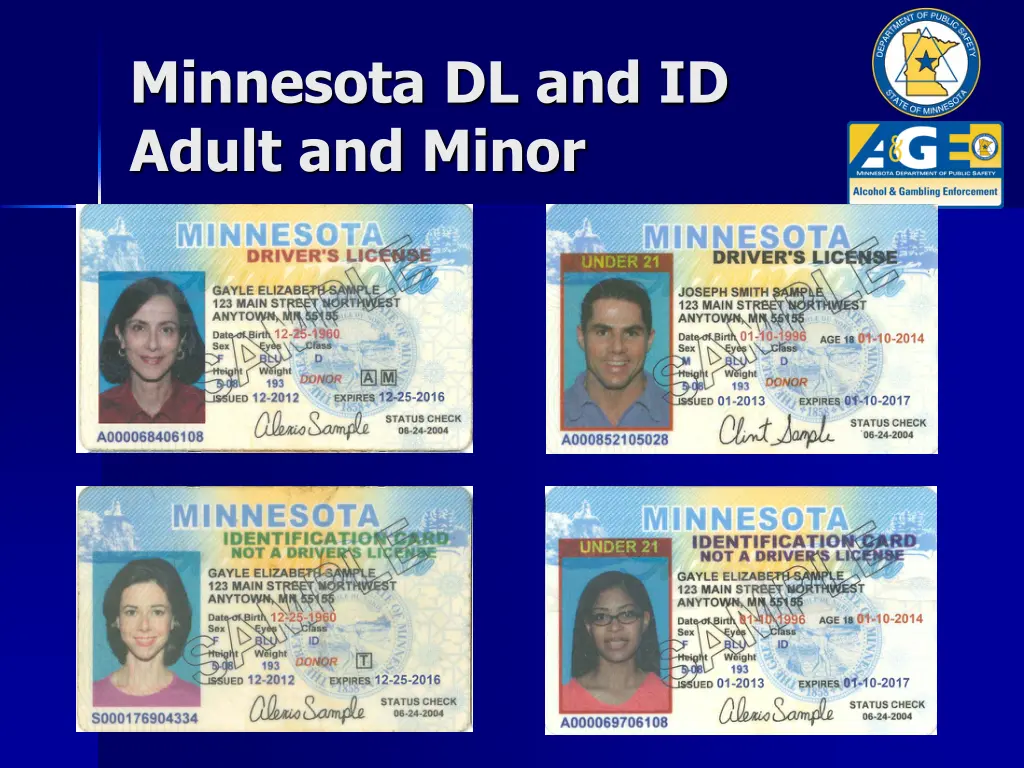 minnesota dl and id adult and minor