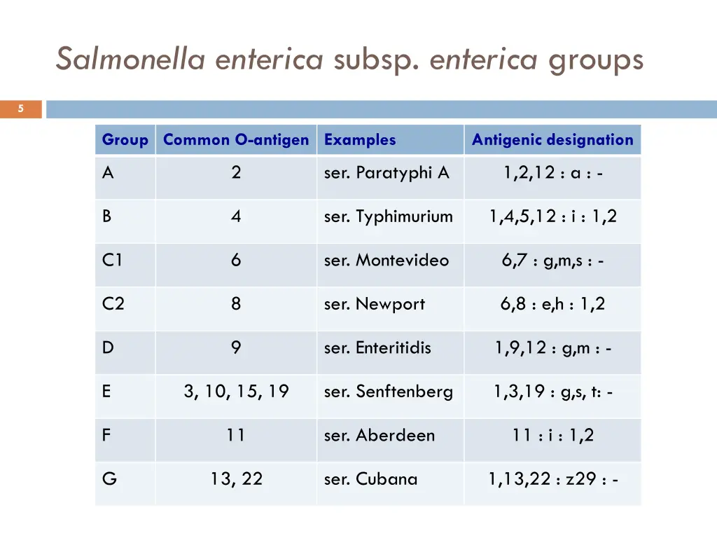 salmonella enterica subsp enterica groups