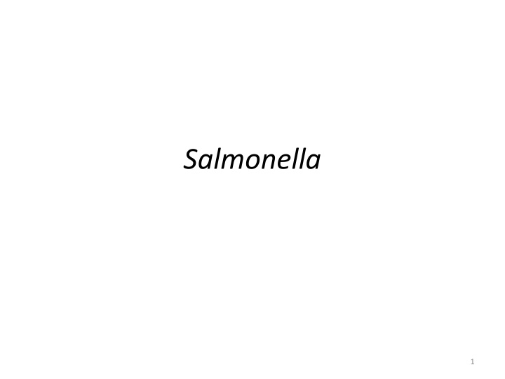 salmonella