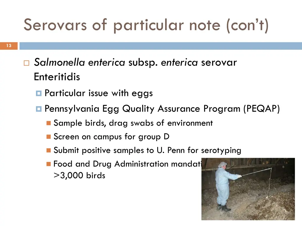 serovars of particular note con t 1