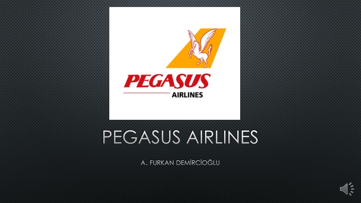 pegasus airlines