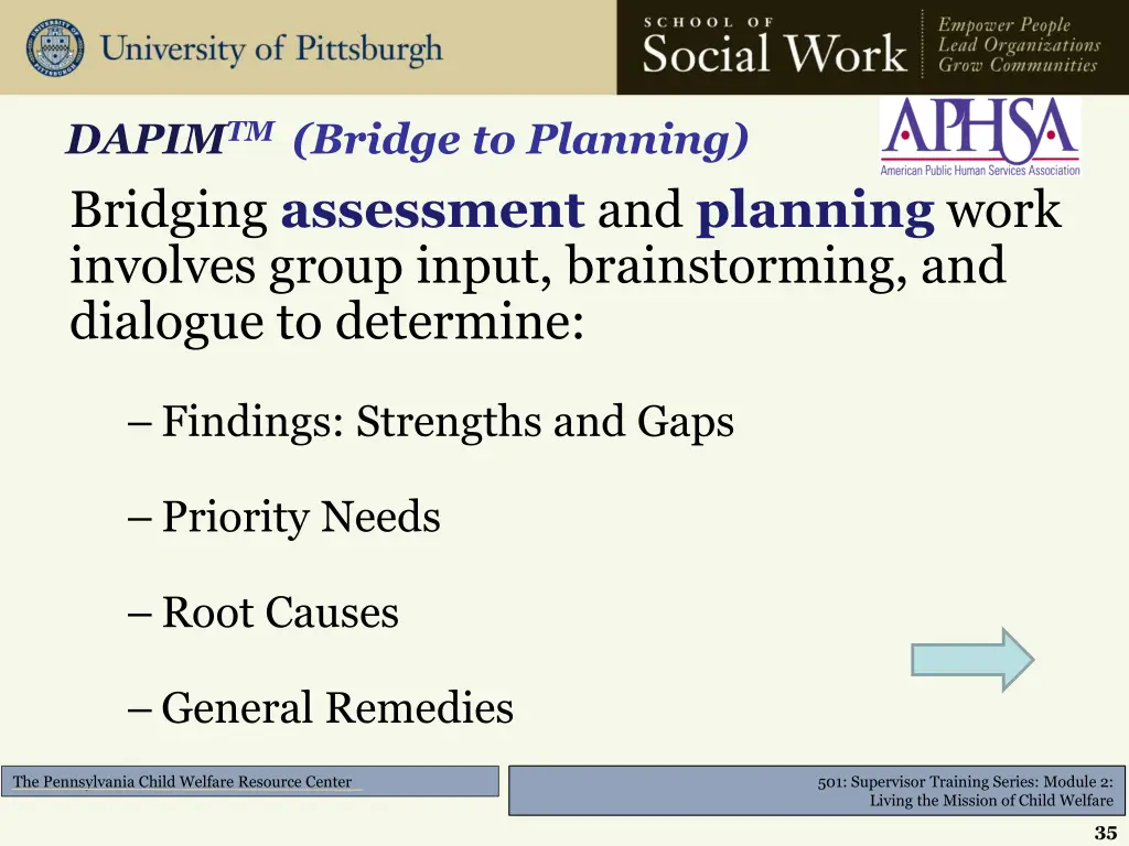 dapim tm bridge to planning