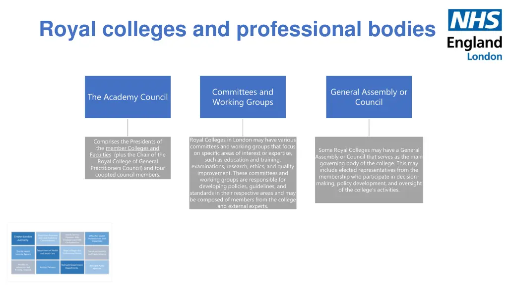 royal colleges and professional bodies 1