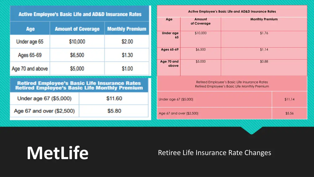 active employee s basic life and ad d insurance