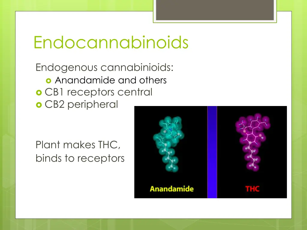 endocannabinoids