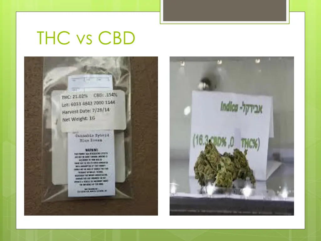 thc vs cbd 1