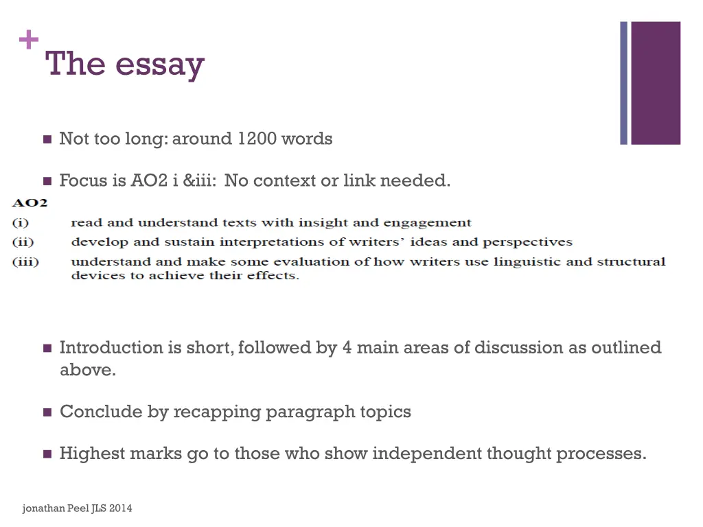 the essay