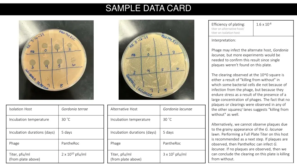 sample data card