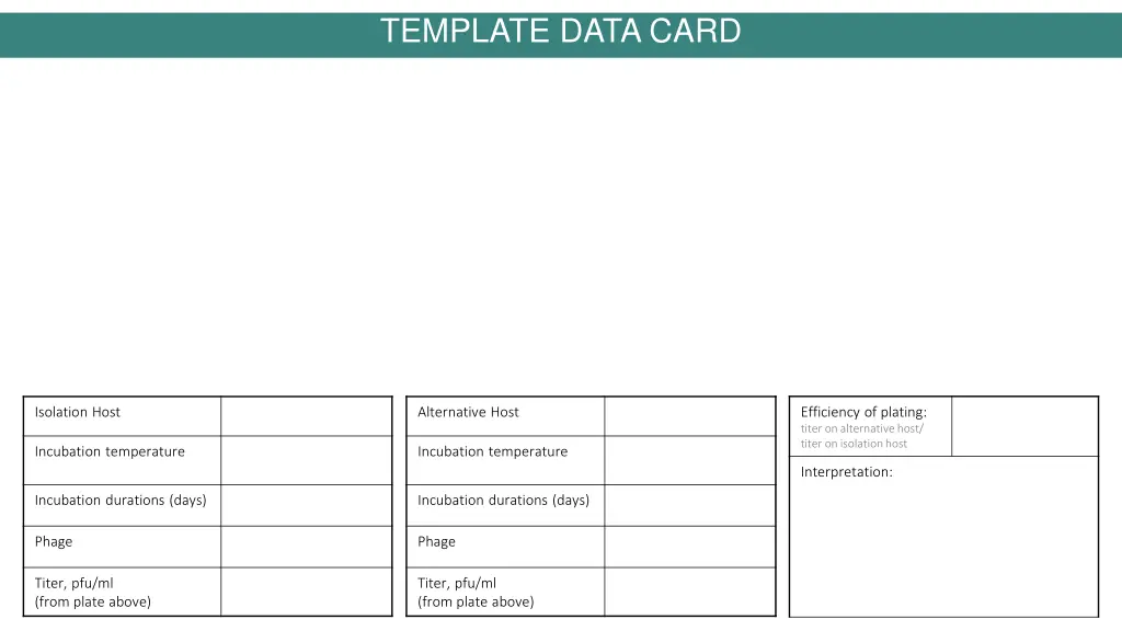 template data card