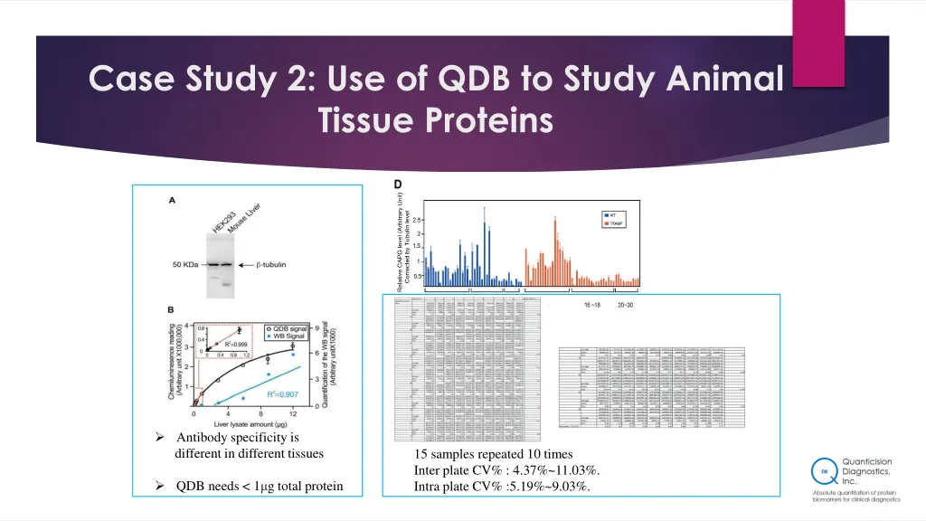 case study 2 use of qdb to study animal tissue