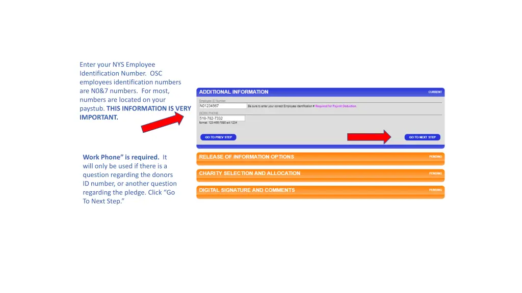 enter your nys employee identification number