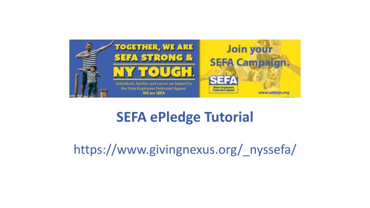 sefa epledge tutorial