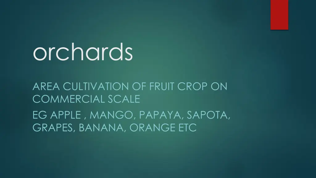 orchards 1