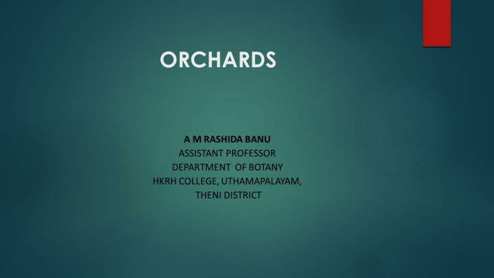 orchards